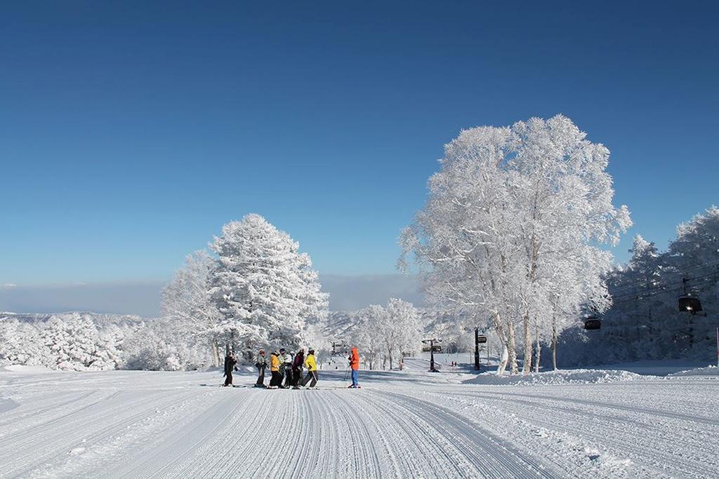 Nozawaonsen Guest House Miyazawa Eksteriør bilde