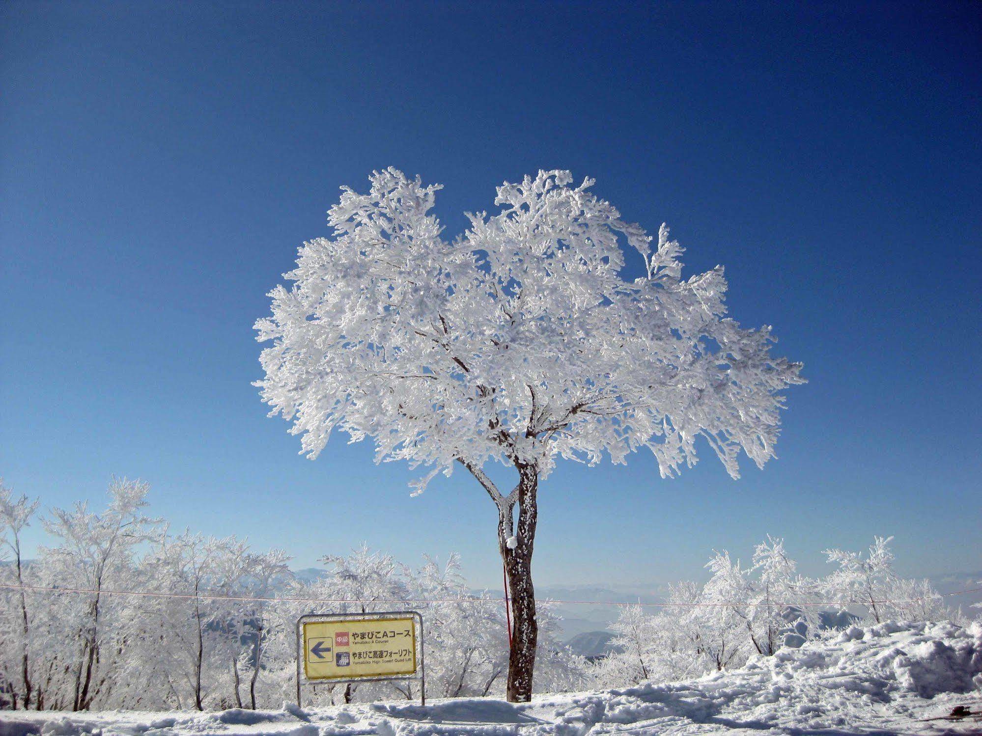 Nozawaonsen Guest House Miyazawa Eksteriør bilde